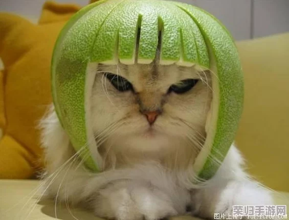 柚子猫小僵尸黑料爆料：用户评价称其剧情反转令人意外，值得一看！