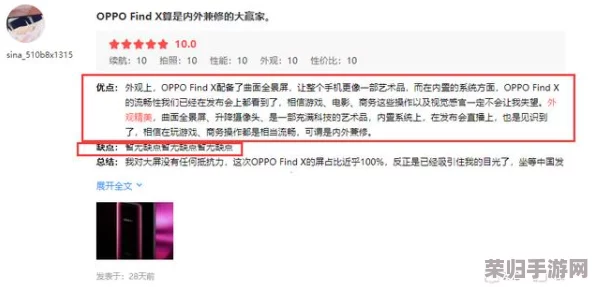 网友热议：X站是否真的值得一试？体验与效果的真实评价分析，看看网友们怎么说！