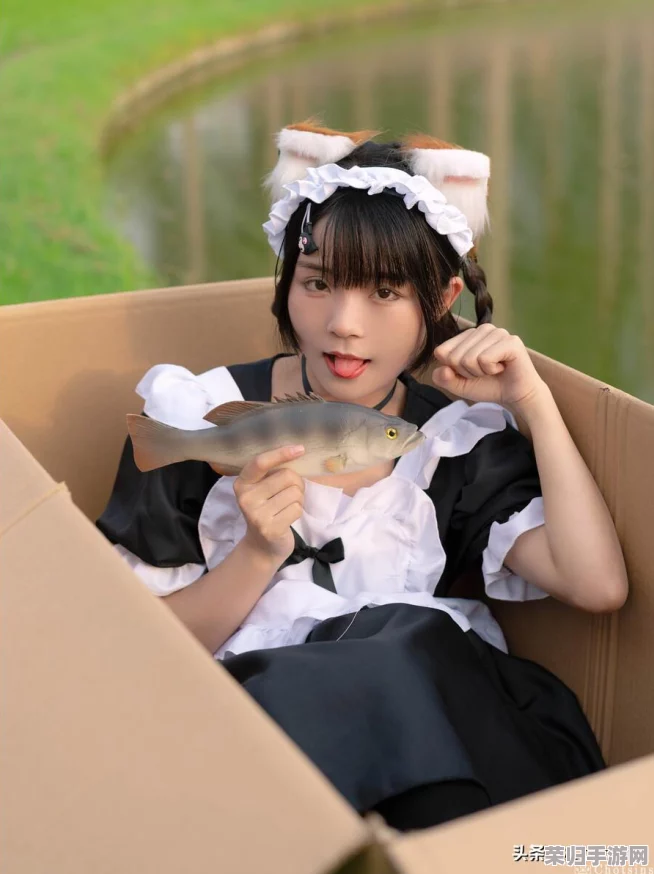 猫メイド游戏安装指南：如何下载并正确安装这款可爱的猫咪女仆游戏？