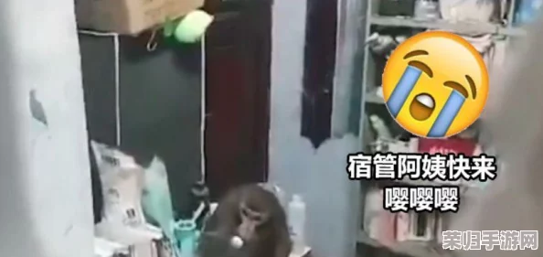 两人生猴子不盖被子，网友：这是什么神仙操作？