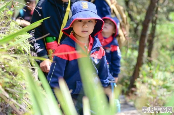 幼儿仙踪林儿童网：理解孩子们在自然中的奇妙旅程与成长体验