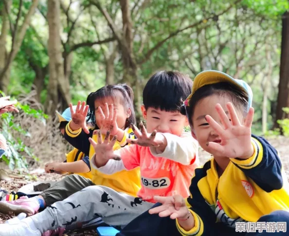 幼儿仙踪林儿童网：理解孩子们在自然中的奇妙旅程与成长体验