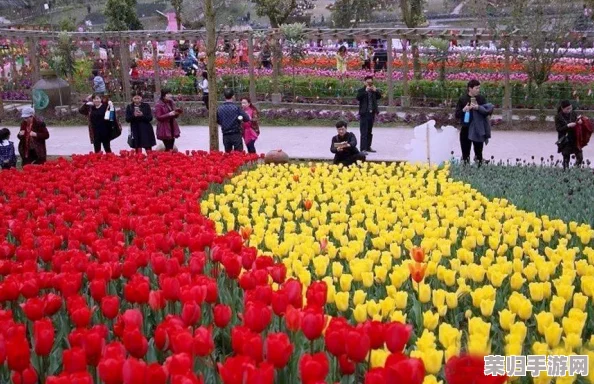 www.fenfencao - 草莓香甜诱人,芬芳四溢的游戏世界等你来探索 www.fenfencao - 草莓香甜诱人,芬芳四溢的游戏世界等你来探索