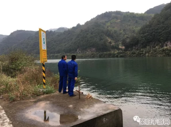 飞行系宝可梦的天敌：哪些属性能完美克制它们？