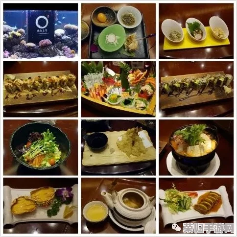 xxxxxx69日本：美食、购物、旅游攻略，带你领略日本的魅力