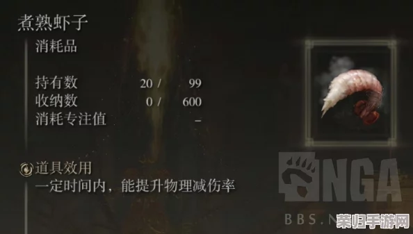 艾尔登法环：王城隐秘通道，老头环高效进入攻略！