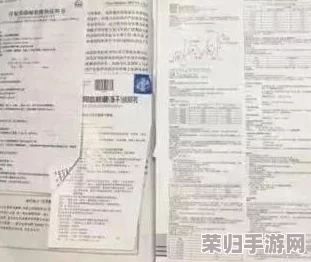 探秘听风者：全方位搜集指南与书信珍藏大全集