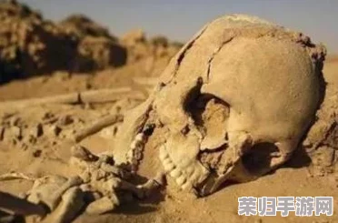 牧羊人之心：深度攻略解析，助你成为顶尖牧场大师！