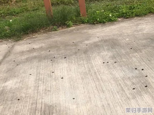 牧羊人之心:深度攻略解析,助你成为顶尖牧场大师! 牧羊人之心:深度攻略解析,助你成为顶尖牧场大师!