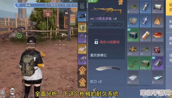 雷霆一号深度攻略大：全面解锁游戏秘籍，尽在独家攻略专区！