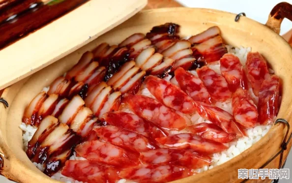 大香煮成品75：深度理解美食背后的故事和制作工艺