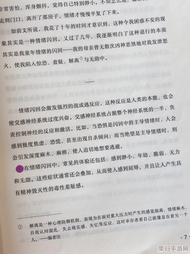 雷电将军的释怀网站：理解他内心深处的痛楚和挣扎，带来真正的宽慰和安慰