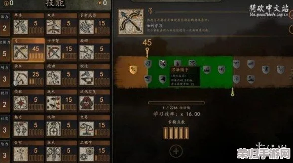 解锁骑砍2新境界：骑马与砍杀2控制台开启及代码获取全攻略！