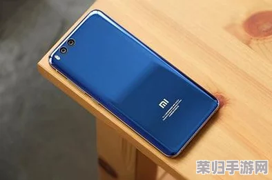 51浏览器网页版-下载安装教程、功能介绍、使用攻略及常见问题解答
