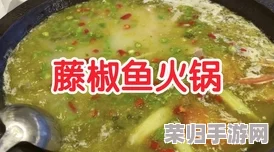 51cg热门吃瓜必吃大瓜：网友纷纷表示这是不可错过的美味，爆料不止，口感绝佳！