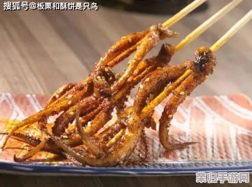 理解by3151鱿鱼新官网换哪了的原因与影响，带你深入了解其背后的故事与变化