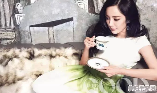 ZZZ老女人另类：挑战传统审美，展现独特魅力与个性风采的全新视角
