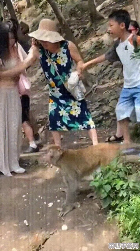 两人生猴子全程无被子可以吗？看他们如何应对极限挑战与生存考验！
