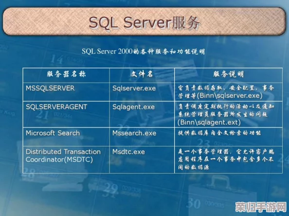 SSIS最经典：学习SQL Server Integration Services的最佳指南