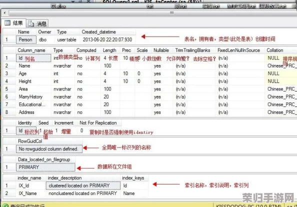 SSIS最经典：学习SQL Server Integration Services的最佳指南