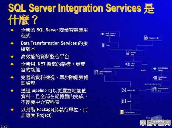 SSIS最经典：学习SQL Server Integration Services的最佳指南