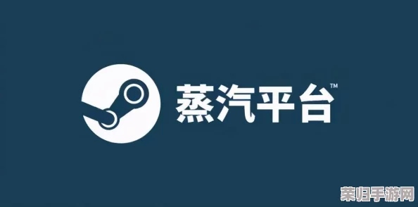 深度解析：蒸汽平台VS Steam，两者核心差异与特色对比！