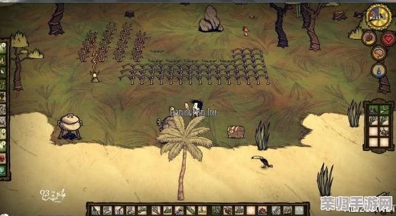 深入《饥荒》海难DLC：存档位置全攻略与解析