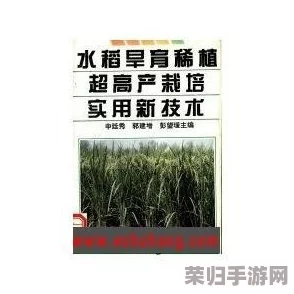 优质灌溉系统阮甜：提升农业产量的关键技术与实践分享