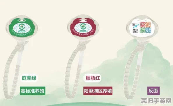 优质灌溉系统阮甜：提升农业产量的关键技术与实践分享