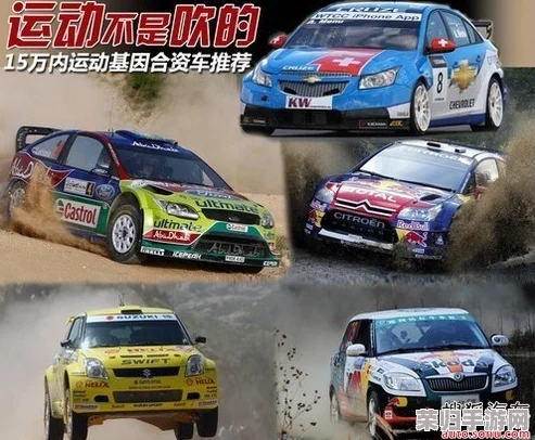 2023年稀缺小马拉车资源：理解如何把握机会