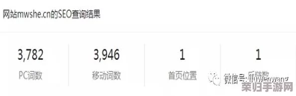 www黄网：用户体验与内容质量的全面评价，值得一看！