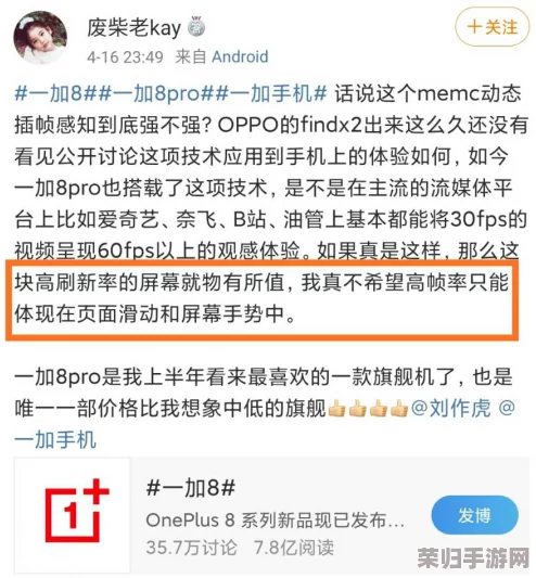 19XXXXXL：用户对这款产品的深刻评价与独特见解，揭示了它的真实魅力与市场潜力