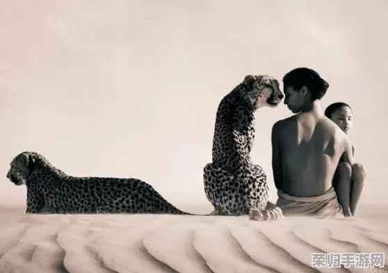 MiyaHeart188：在数字时代如何找到真爱与心灵的共鸣，开启幸福生活的新篇章