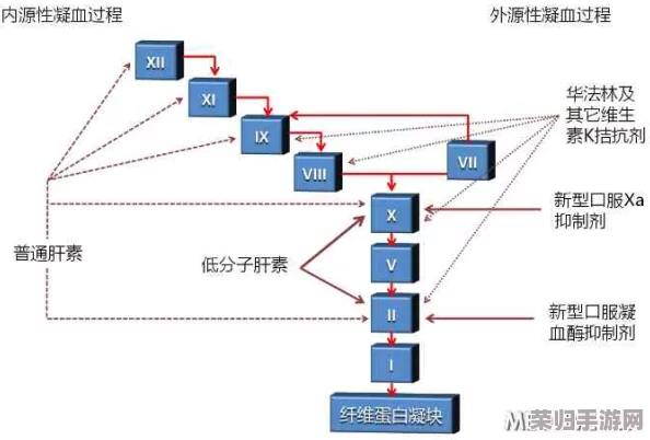 xaxmantauzunhaydetail：深入解析xaxmantauzunhay的独特魅力与文化背景，揭示其在当代社会中的重要性和影响力