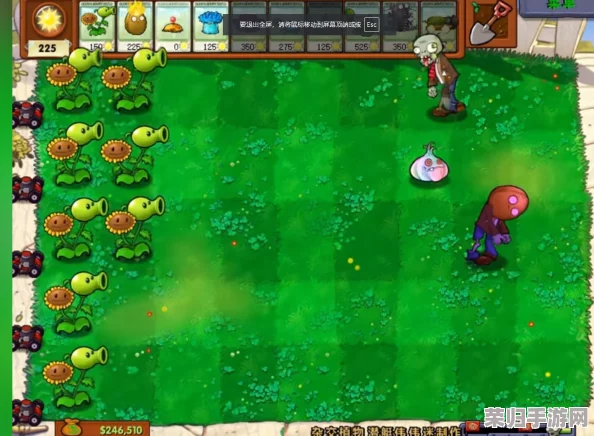 植物大战僵尸：创新杂交版，解锁全新植物图鉴大冒险！
