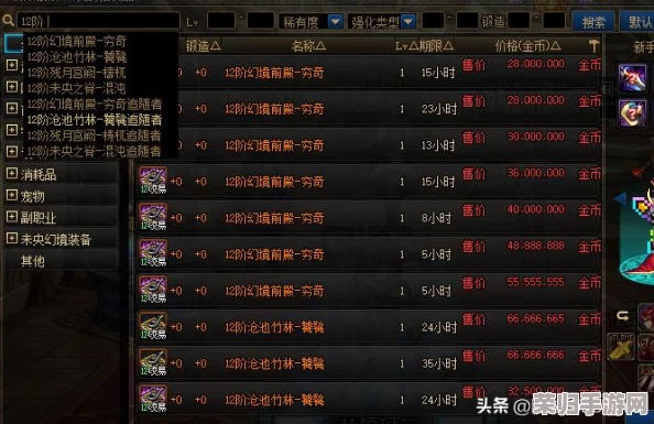 DNF攻略：轻松掌握单人司南查询技巧与秘诀！