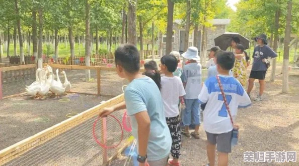 麻花传剧原创mv在线：感受独特的艺术魅力与创作灵感，带你领略精彩纷呈的视听盛宴