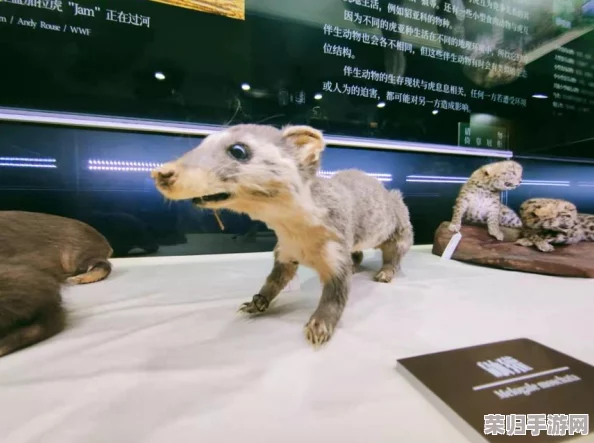 《怪物猎人：崛起》探秘！必知食草龙栖息地与捕捉攻略