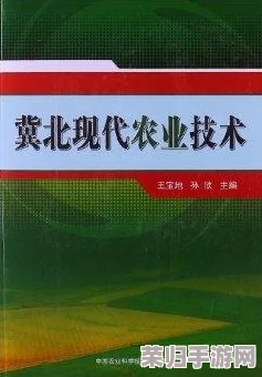 甘雨脚法熟练：从传统技艺到现代技术的全面分析与应用