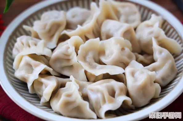 深度剖析江教授要稳住肉馅小水饺视频中的独特技艺与秘诀