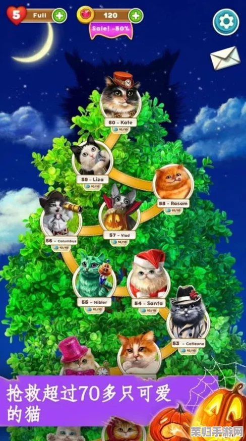 深度猫咪小姐3全攻略秘籍，玩转萌宠世界的必备指南！