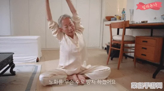 胖老太BBwBBWBBWBBW：探讨社会对体型的偏见与包容性文化的演变，反映多样性的美丽观念