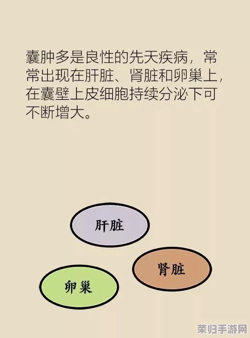 特别的体检小雨：如何通过健康检查发现潜在问题，提升生活质量与幸福感