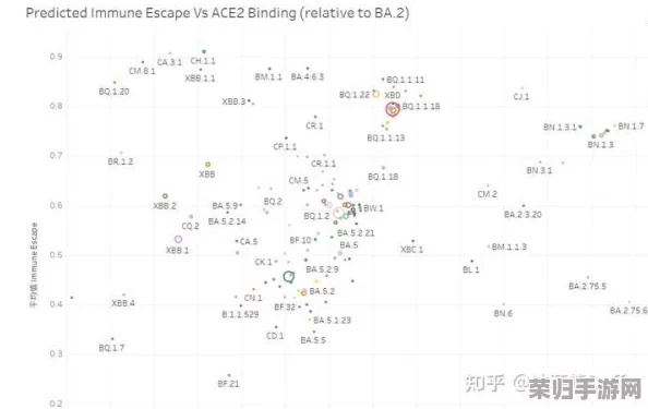 8x8x.io最新地域网名是啥？了解其背后的意义与影响力，助你更好地把握网络趋势