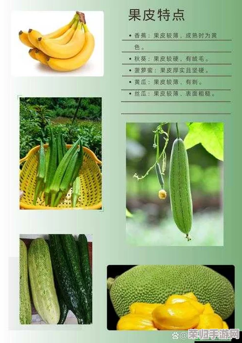 草莓樱桃丝瓜秋葵榴莲黄瓜大全，网友评论：这些水果和蔬菜的搭配真是太丰富了，让人垂涎欲滴！