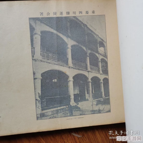 四川BBB桑BBB桑BBB：揭秘这一古老传统的文化现象