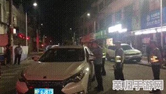 女人 精69XXXⅩXX视频解读：如何理解其背后的文化现象与影响