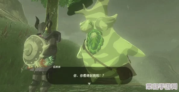 《塞尔达传说：王国之泪》全探索！隐藏呀哈哈的奇妙踪迹