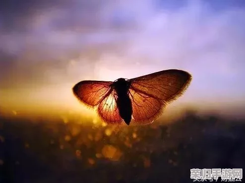 蝴蝶阿姨满天星：在这个充满梦幻与希望的世界里，感受生命的绚丽与温暖