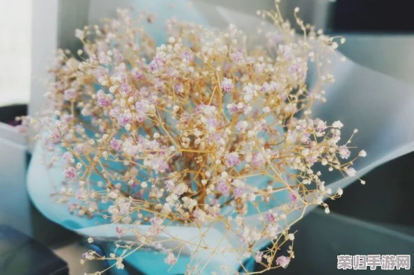 蝴蝶阿姨满天星：在这个充满梦幻与希望的世界里，感受生命的绚丽与温暖